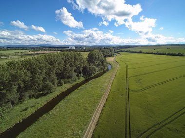 Fields near Schladen