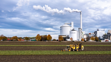 231101-Beet Harvesting-349