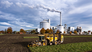 231101-Beet Harvesting-355
