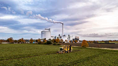 231101-Beet Harvesting-374