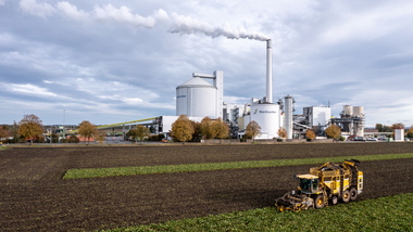 231101-Beet Harvesting-353