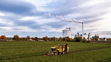 231101-Beet Harvesting-379