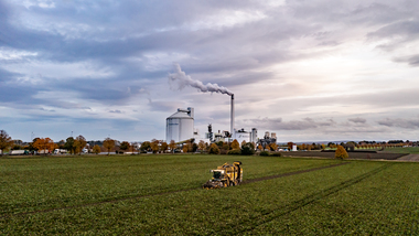 231101-Beet Harvesting-382