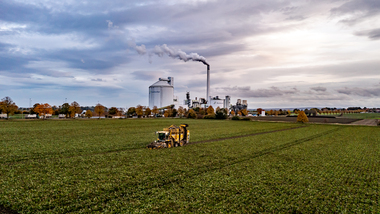 231101-Beet Harvesting-383