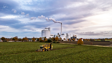 231101-Beet Harvesting-375