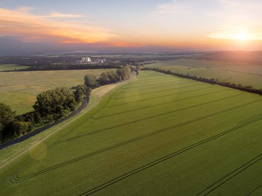 Sunrise with Sugar factory 
