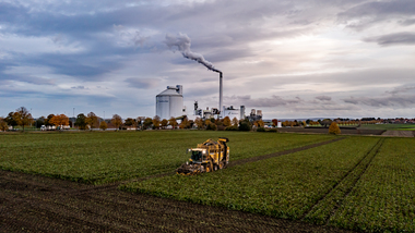 231101-Beet Harvesting-386