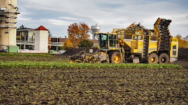 231101-Beet Harvesting-11050
