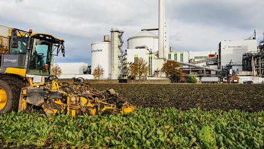 231101-Beet Harvesting-11062