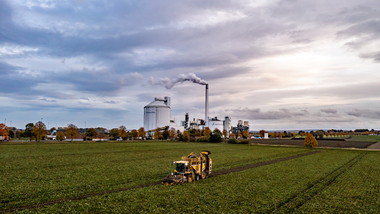 231101-Beet Harvesting-381