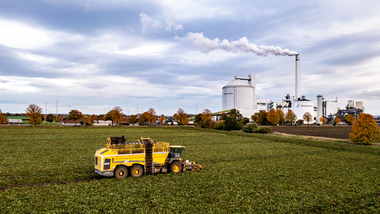 231101-Beet Harvesting-368