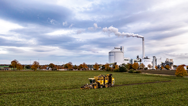 231101-Beet Harvesting-376