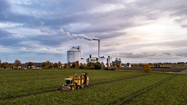 231101-Beet Harvesting-380