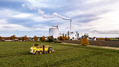 231101-Beet Harvesting-371