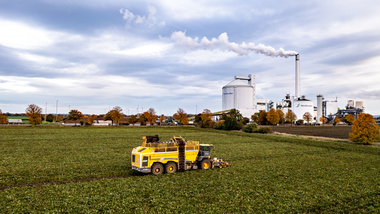 231101-Beet Harvesting-369