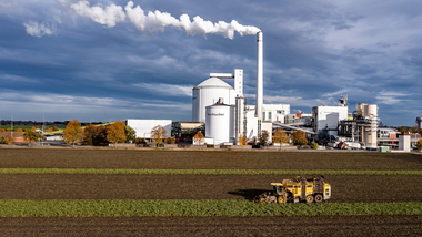 231101-Beet Harvesting-360