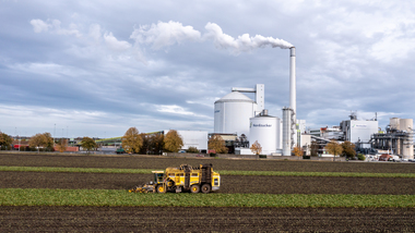 231101-Beet Harvesting-350