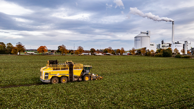 231101-Beet Harvesting-366