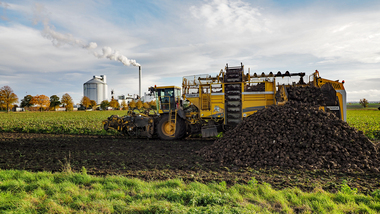 231101-Beet Harvesting-11109