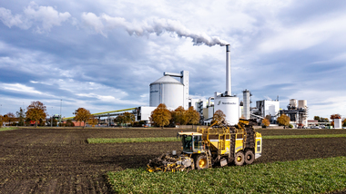 231101-Beet Harvesting-354