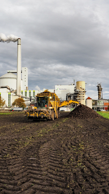 231101-Beet Harvesting-11047