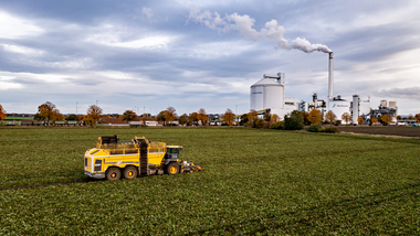 231101-Beet Harvesting-367