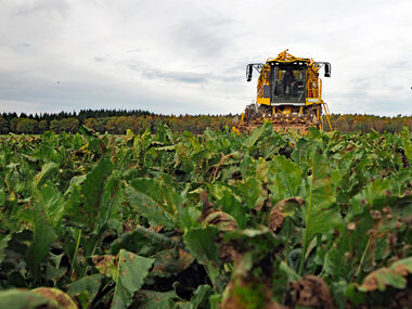 221108-Harvester-UEL-1