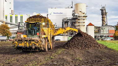 231101-Beet Harvesting-11045