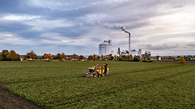 231101-Beet Harvesting-384