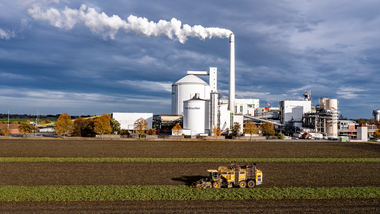 231101-Beet Harvesting-361