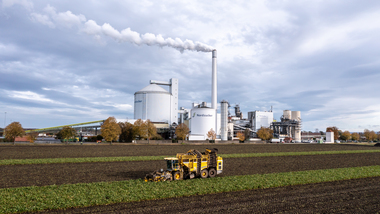 231101-Beet Harvesting-352