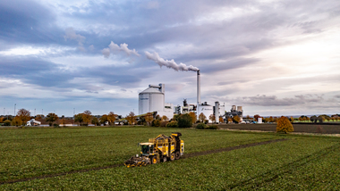 231101-Beet Harvesting-378