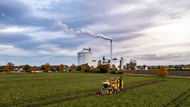 231101-Beet Harvesting-377