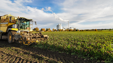 231101-Beet Harvesting-11082