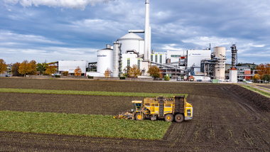 231101-Beet Harvesting-347