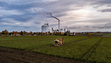 231101-Beet Harvesting-385