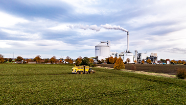 231101-Beet Harvesting-372