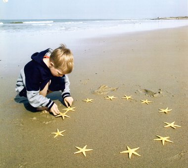 EUs sukkerreform tager form