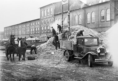 Læsning af roepulp sent 1940-tal, Gørlev
