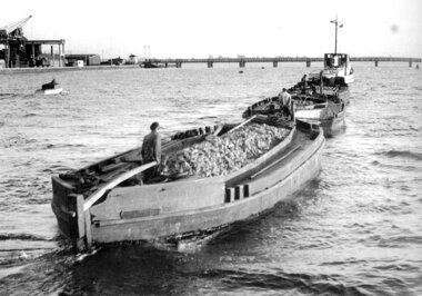 Pramme lastet med roer på Guldborgsunde