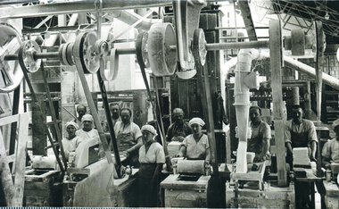 Produktion af hugget sukker, Phønix