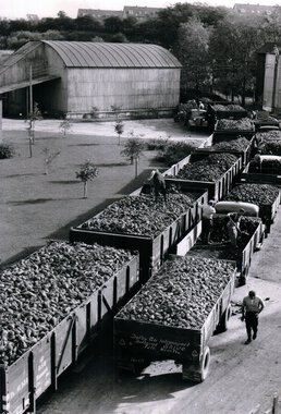 Roer i Kolding for eksport til Tyskland