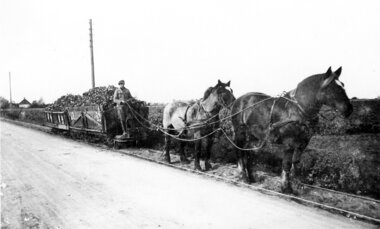 Hestetrukket roetog 1950