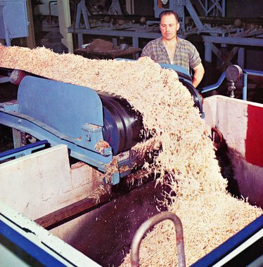 30.000 tons sukkerroer i døgnet oparbejdes på DDS fabriker under kampanjen.