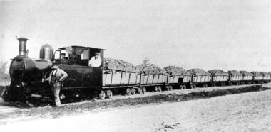 Transport till Højbygård Sukkerfabrik 1905