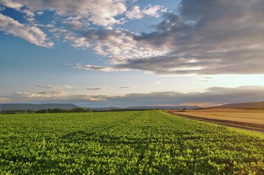 PRODUCTION-AGRICULTURE-1-10-11-Q3-2011-0084-203-7411377