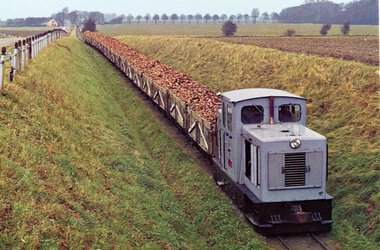 Den sidste lollandske roebane blev nedlagt 1967