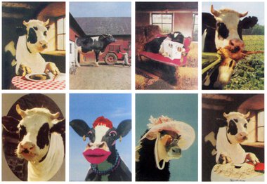 Ko på plakaten 1995-2005