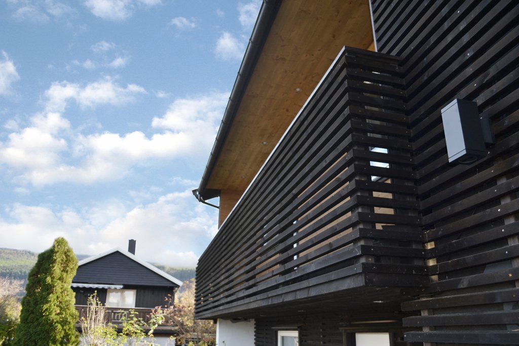 Concise skrålekt, setersvart