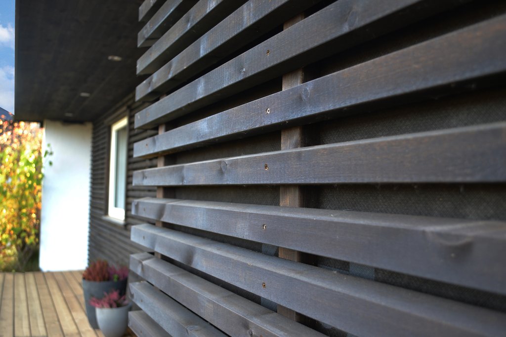 Concise skrålekt, setersvart